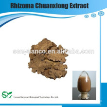 De alta calidad Szechwan Lovice Rhizome PE, rhizoma chuanxiong extracto 4: 1, 10: 1, 20: 1